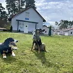 Seepark Wolfswinkel Feriehus
