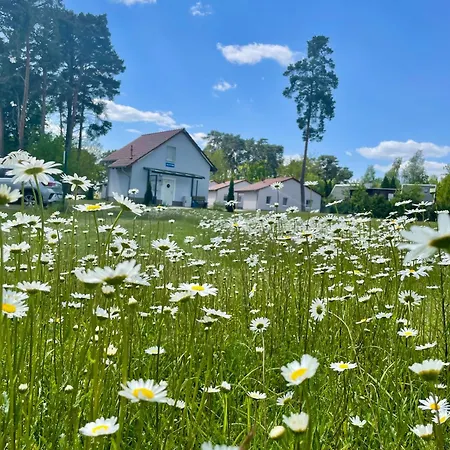Дом отдыха Seepark Wolfswinkel *
