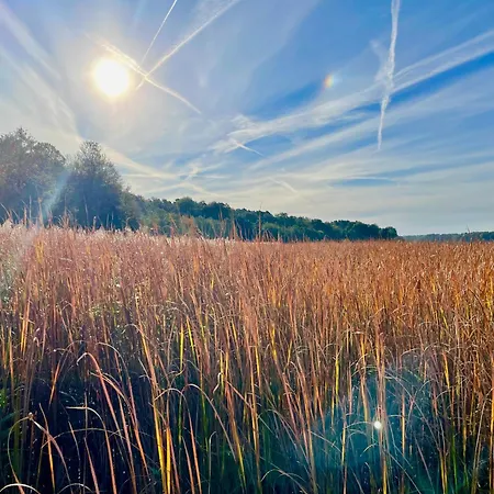 Seepark Wolfswinkel Дом отдыха *