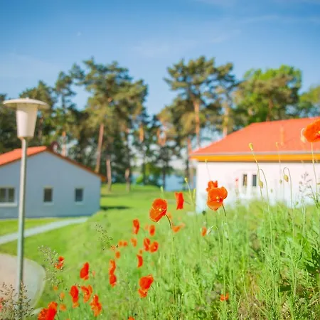 Сasa de vacaciones Seepark Wolfswinkel