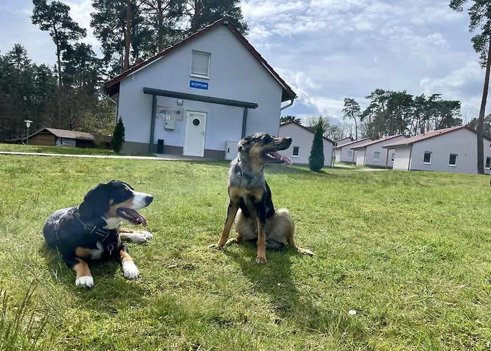 Seepark Wolfswinkel Ferienhaus