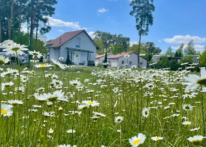 Ferienhaus Seepark Wolfswinkel *