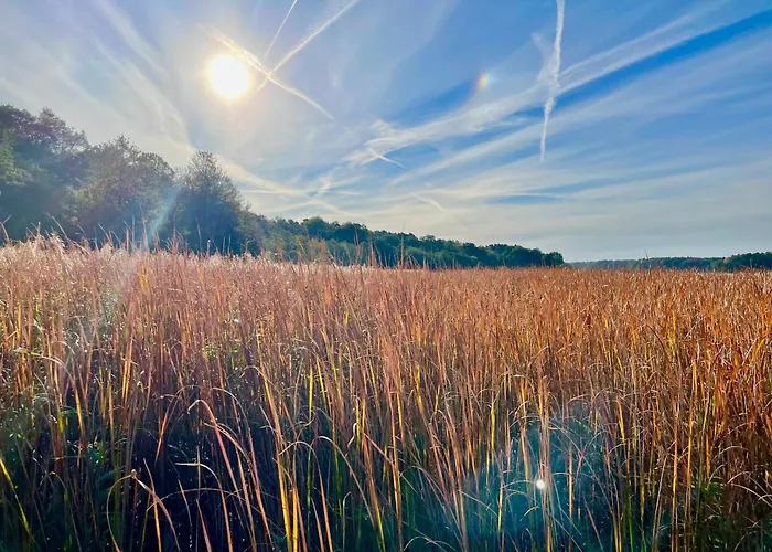 Seepark Wolfswinkel Dom wakacyjny *