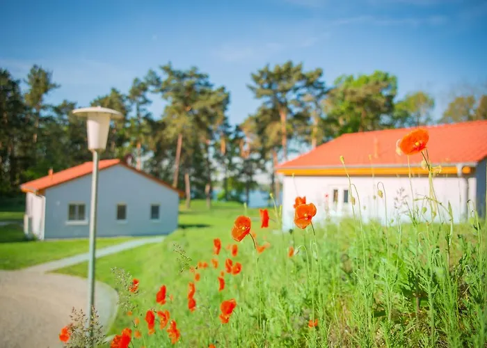 Ferienhaus Seepark Wolfswinkel